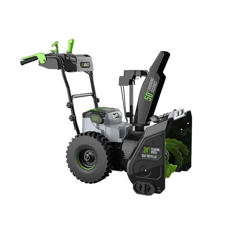 Endast idag Snöslunga